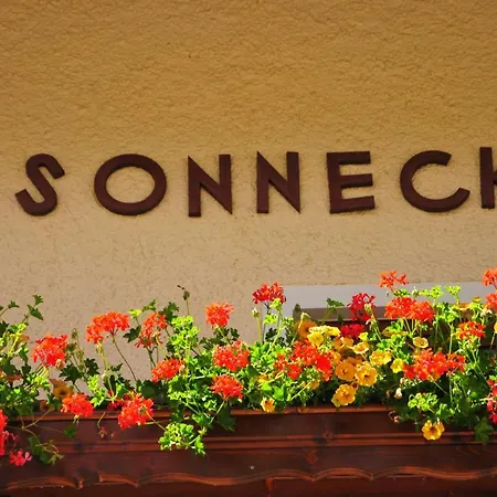 Sonneck